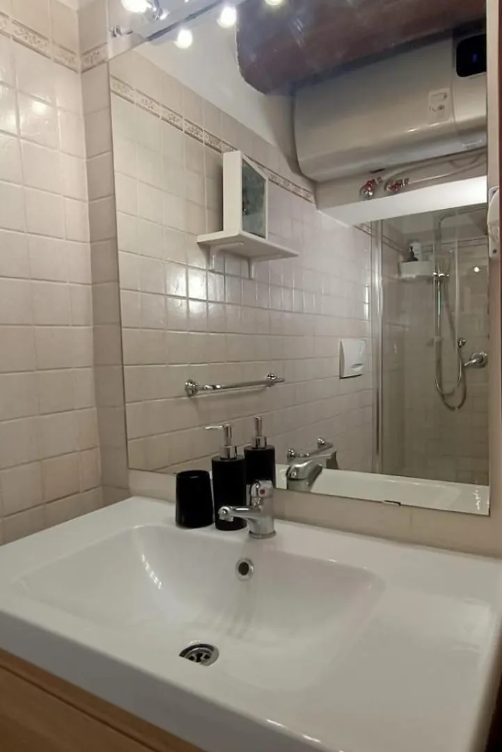 Colosseo Historical Apartment La Romana